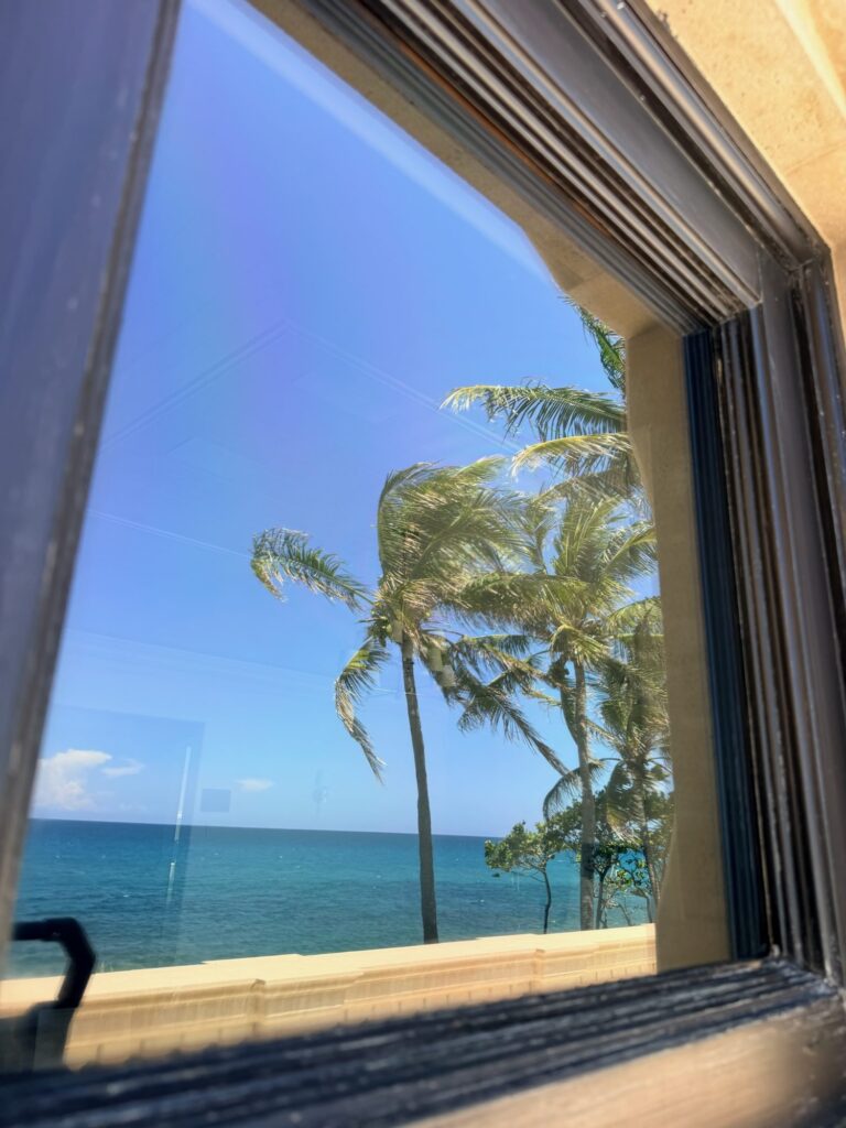 Clear oceanfront window with palm trees and ocean view after glass restoration in Jupiter, FL